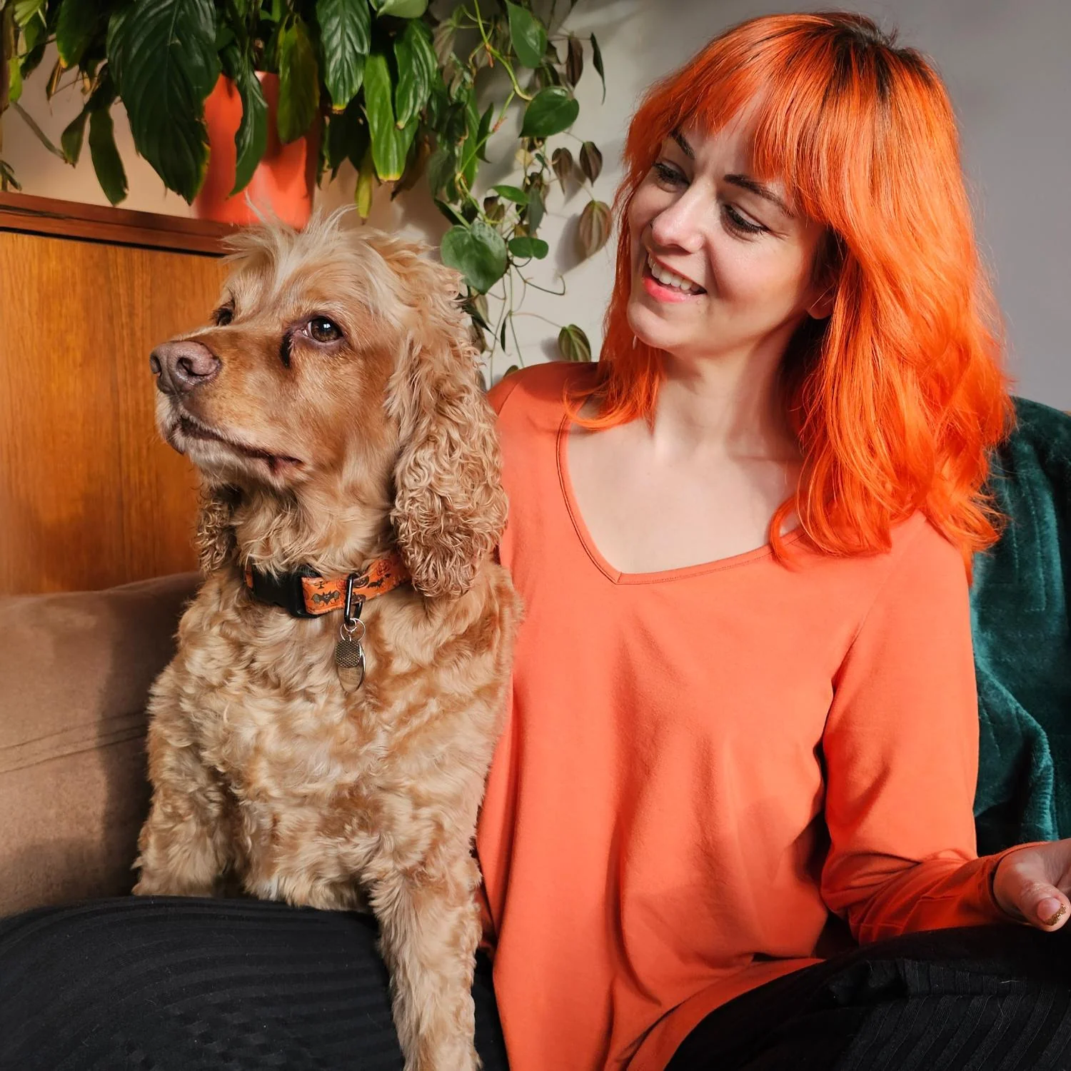 Thumbnail 12